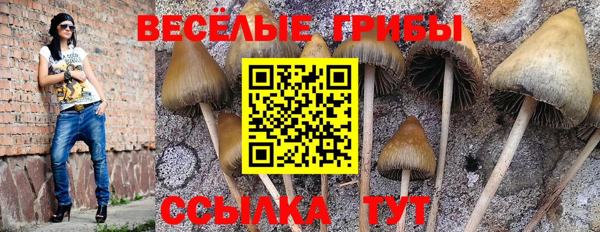 Воткинск  хочу наркоту  Вход с VPN  Галлюциногенные грибы GOLDEN TEACHER 